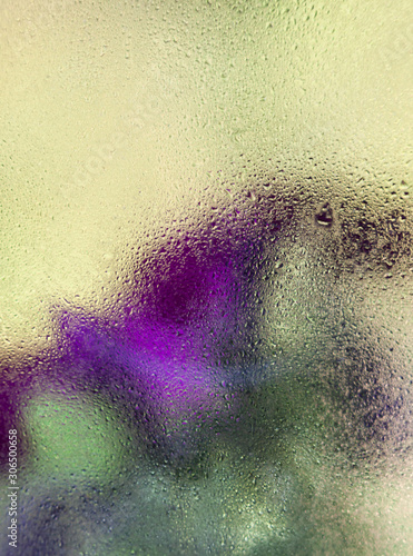 Purple flowers behind the wet glass