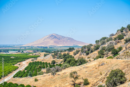 Orange groves in east side of the Central Valley in Fresno County,California,USA