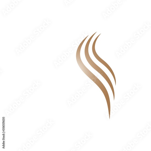 Hair logo template vector icon illustration