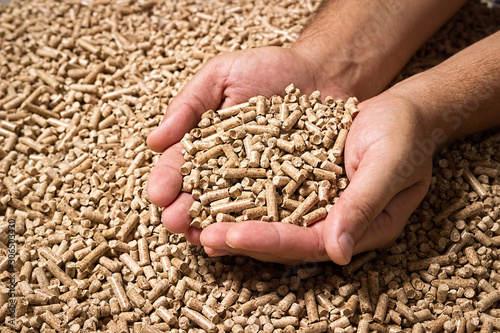 Wood pellets in the background. Biofuels. Cat litter. Man's hands. photo