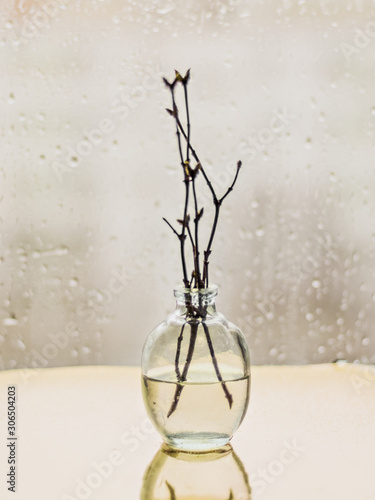 On a blurred background  a small vase with branches on which buds on a bokeh  background. Selective focus.