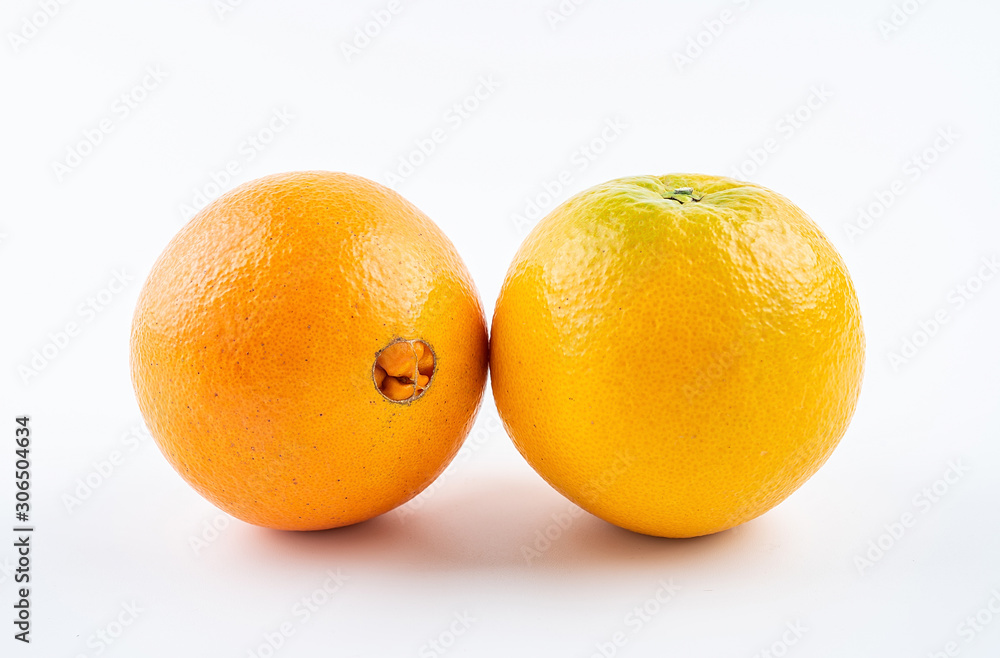 Two fresh fruits Gannan navel orange on white background Two fresh fruits Gannan navel orange on white background