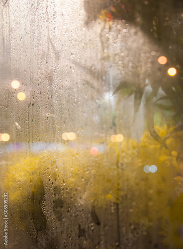 Flowers and light garlands behind the glass © rootstocks