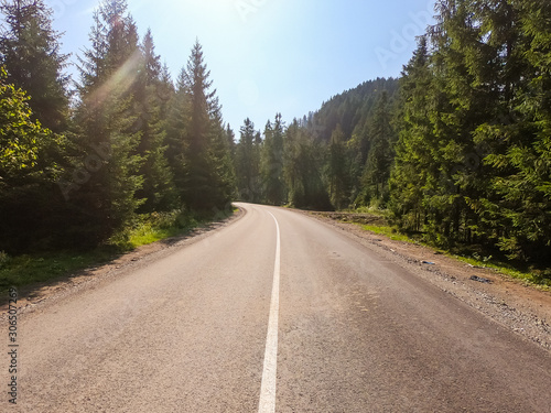 Carpathian mountains road over the forest