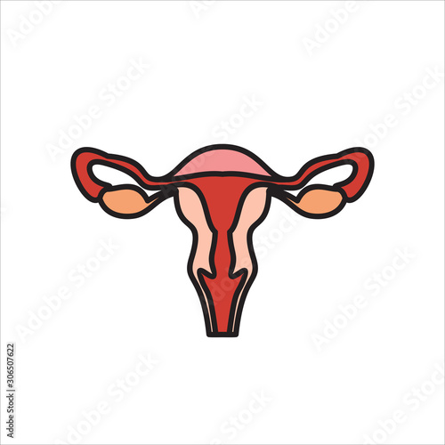 Human organs. Female uterus icon.