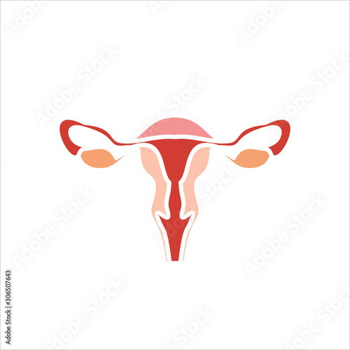 Human organs. Female uterus icon.