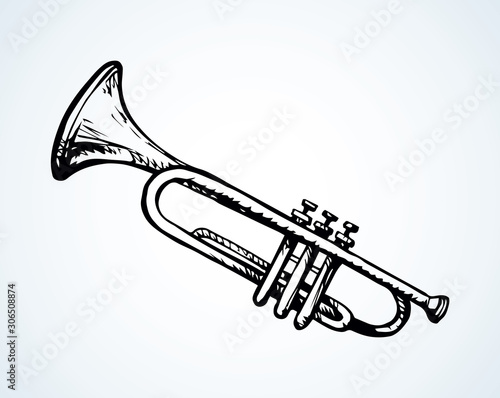 Musical instrument. Trumpet. Vector drawing