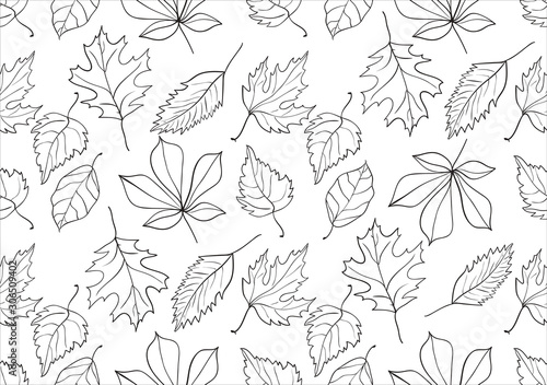 Hand drawn vector seamless pattern with leaf. Decorative template texture with autumn leaf, background