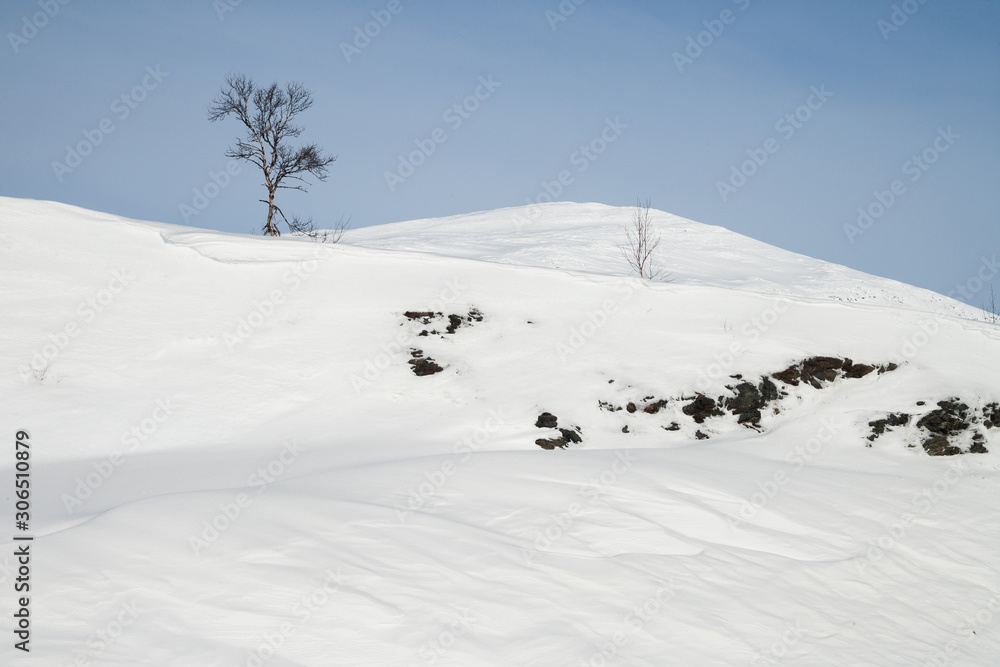 Fototapeta premium winter landscape in sweden during a sunny day