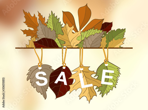 Autumn sale vector concept. Flat design. Colored leaves of variety trees on top and bottom and sample text in the middle. For sale and discount advertising. Product label
