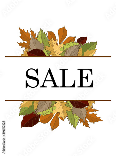 Autumn sale vector concept. Flat design. Colored leaves of variety trees on top and bottom and sample text in the middle. For sale and discount advertising. Product label