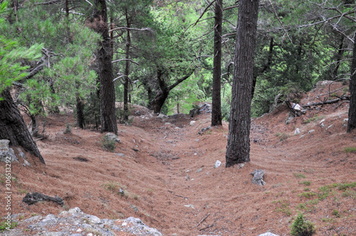 Mountainous area with beautiful views of nature and vegetation, trees and stones