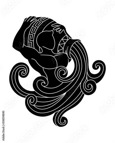 silhouette a beautiful and elegant aquarius zodiac sign vector