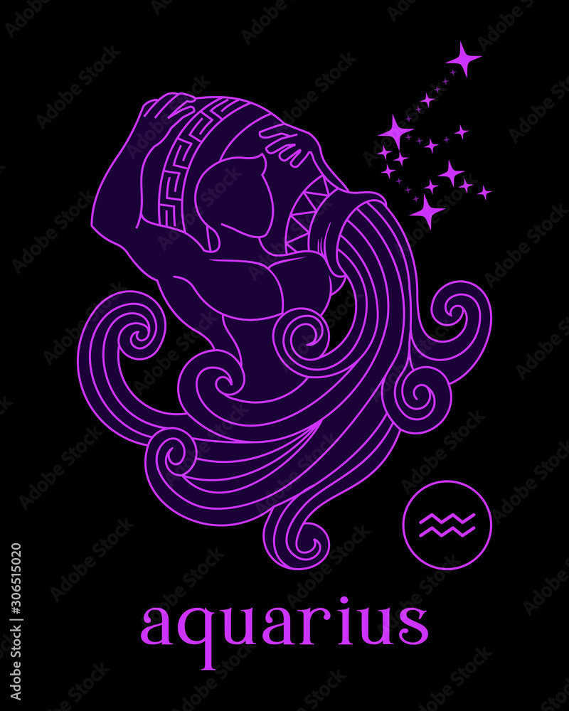 silhouette a beautiful and elegant aquarius zodiac sign vector