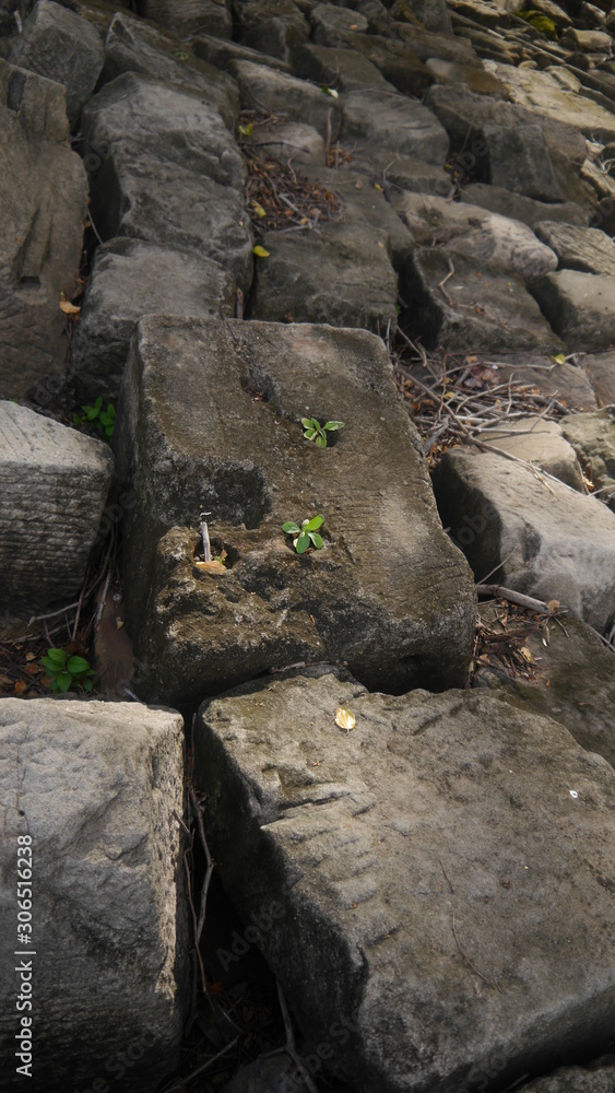 several old stones