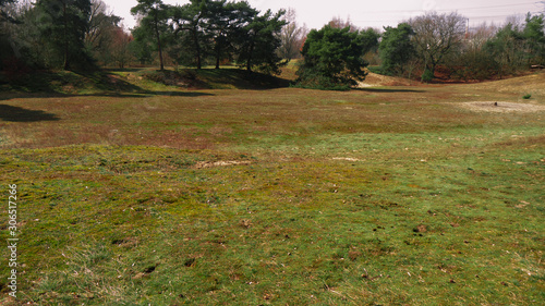 grass field  in a park