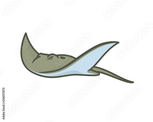Detailed Swimming Ray Fish or Stingray Illustration