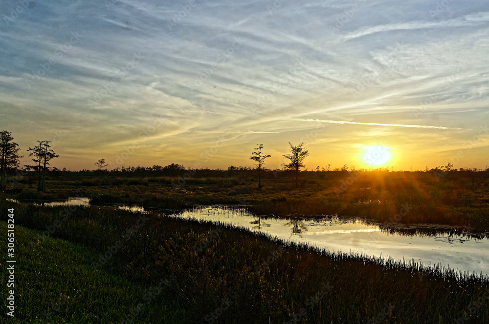 Louisiana Swamp sunset silhouette and reflections Louisiana Swamp sunset silhouette and reflections