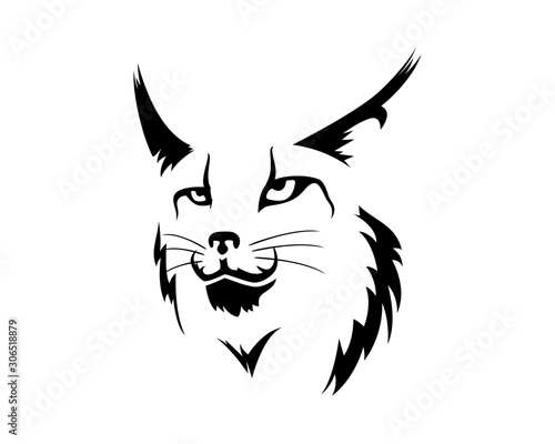 Lynx Face Illustration with Silhouette Style
