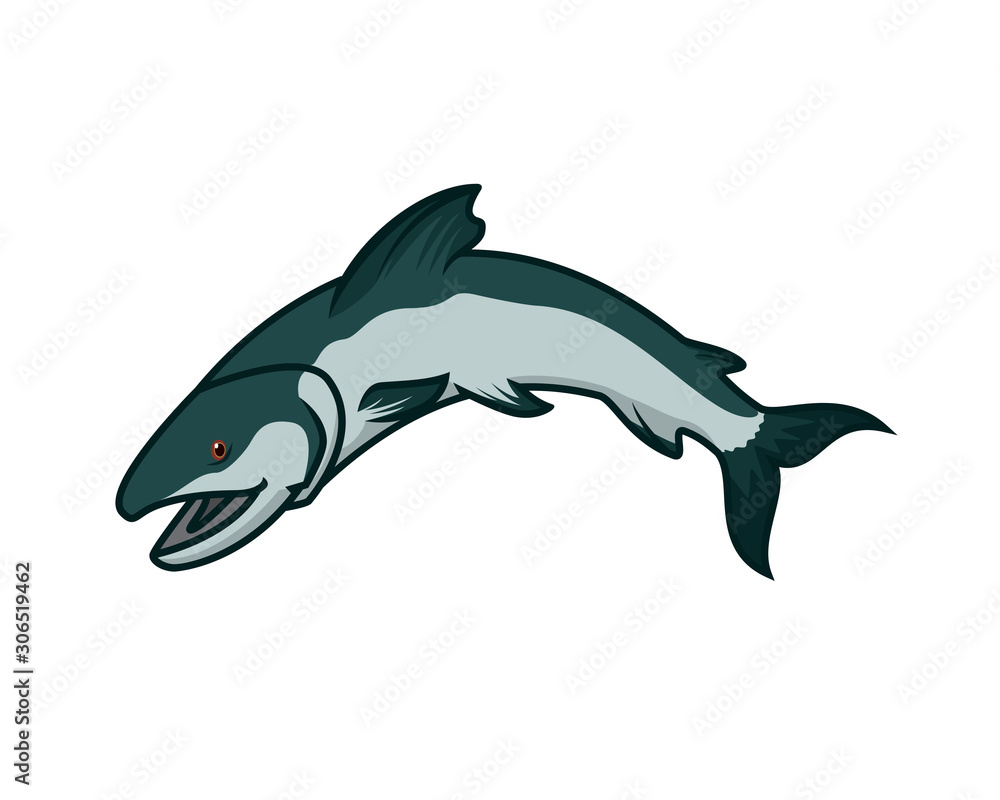 Fototapeta premium Detailed Salmon with Jumping of the Water Gesture Illustration