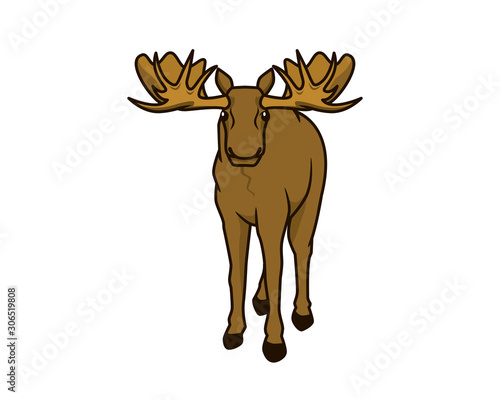 Detailed Moose with Standing Gesture Illustration © mayantara