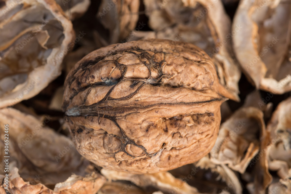 One complete walnut with cracked walnut shells. Pieces of nutshells. Close up.