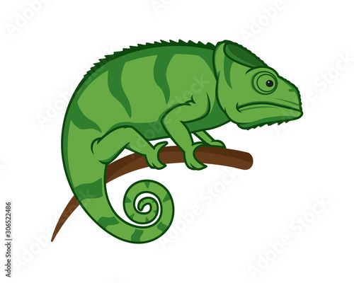Chameleon Perched on the Branch Illustration