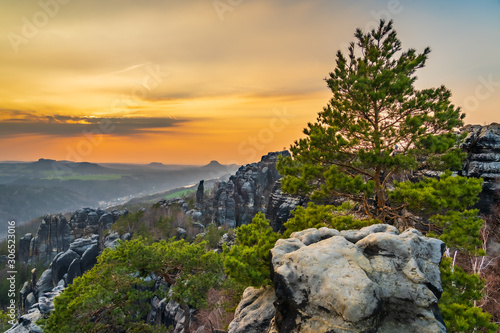 landscape at sunset with tree and rocks