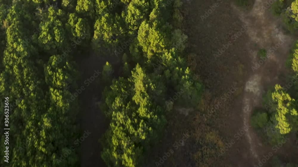 Drone video flying over trees in Tierra Del Mar located just outside of Pacific City Oregon. Drone video flying over trees in Tierra Del Mar located just outside of Pacific City Oregon.