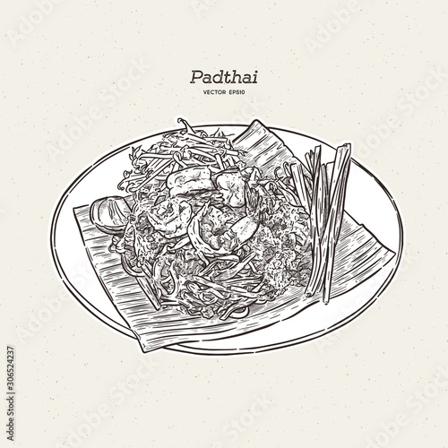 Noodle padthai food thailand in the dish. hand draw sketch vector.