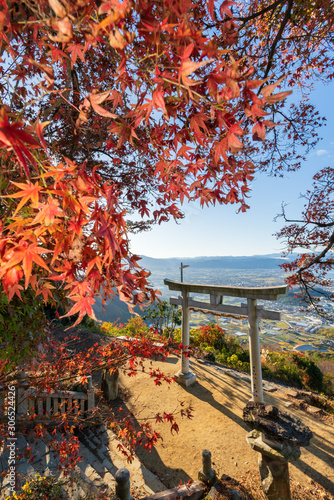 秋の高屋神社 photo