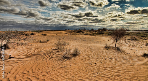 Karakum desert at sunset. Road crossing the Karakum desert in Turkmenistan.