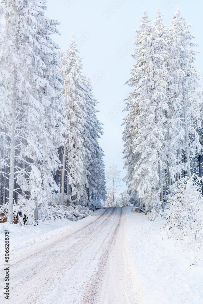Winter forest landscape with a dirt road in the woodland