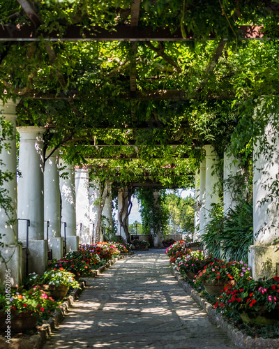 Beautiful floral passage with columns and plants overhead in garden in Anacapri, capri island, Italy photo