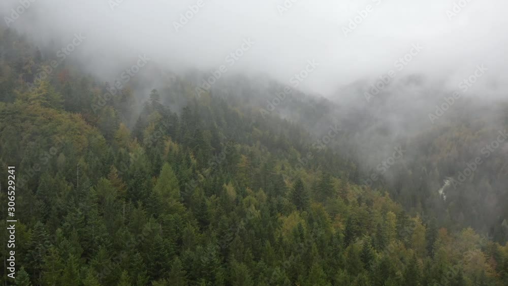 Flying above foggy pine forest treetops. Thick misty clouds rising from lush spruce forest on cold morning day. Creepy fog and mist wrapping green pine forest in early autumn morning. Aerial footage Flying above foggy pine forest treetops. Thick misty clouds rising from lush spruce forest on cold morning day. Creepy fog and mist wrapping green pine forest in early autumn morning. Aerial footage