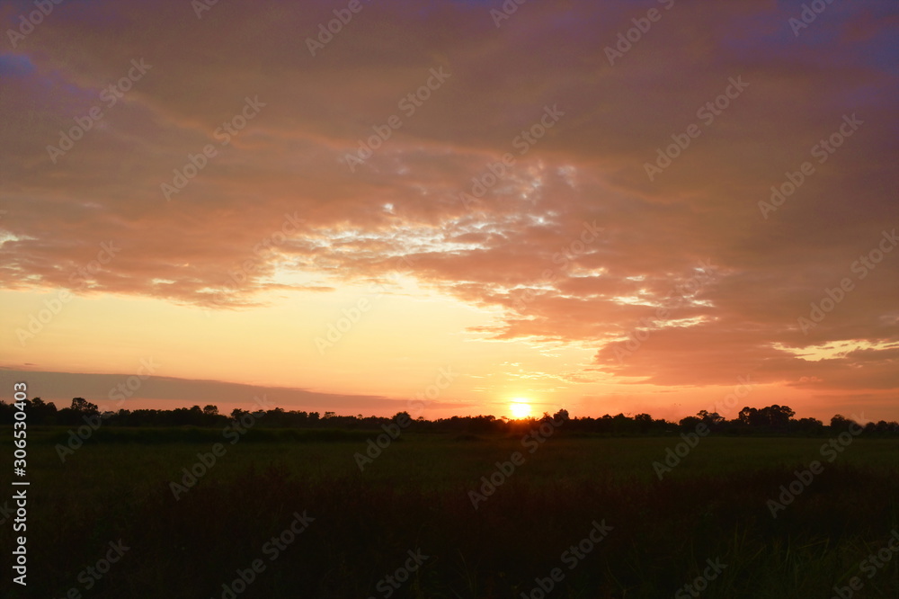 sunset on paddy field in Thailand countryside at evening