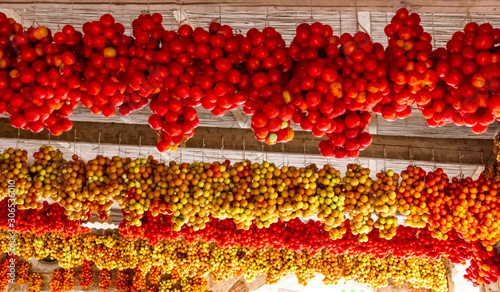 hanging tomatoes in the farmhouse