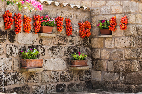 hanging tomatoes in the farmhouse