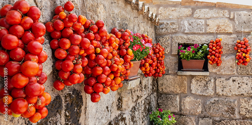 hanging tomatoes in the farmhouse