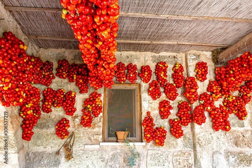 hanging tomatoes in the farmhouse