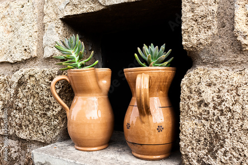 succulents in handmade ceramic pots