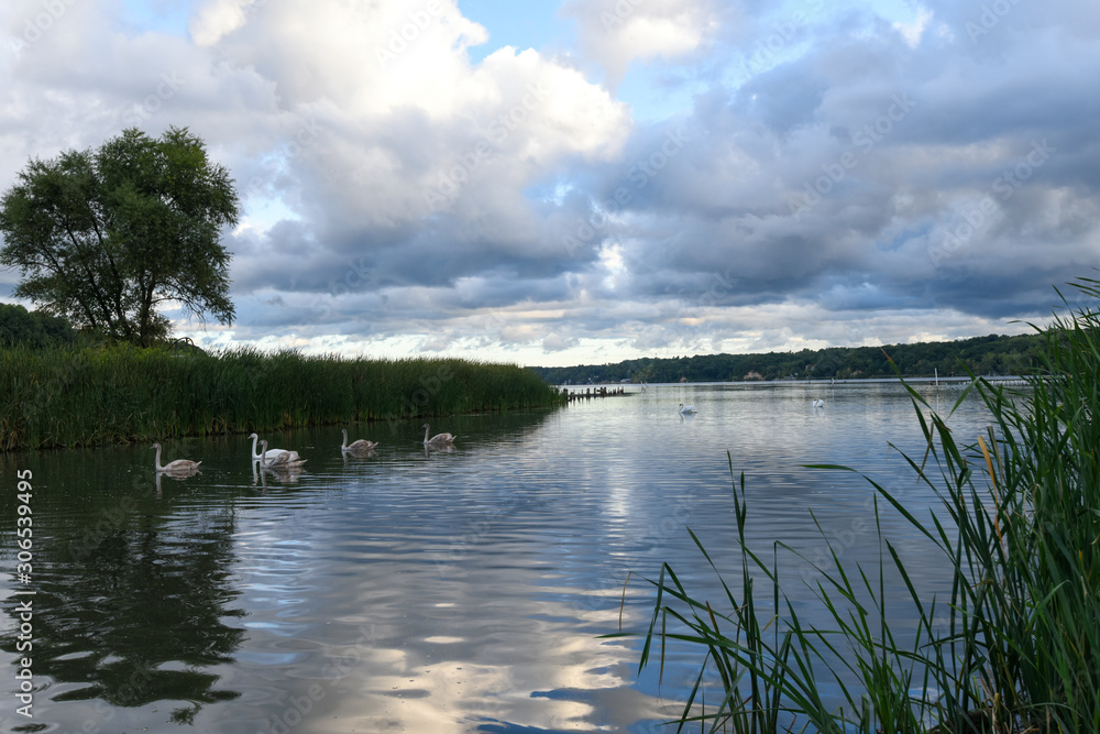 Swan Lake Swan Lake