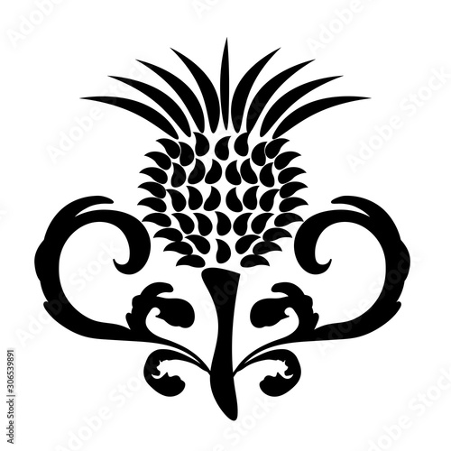 black and white thistle flower with decorative leaves