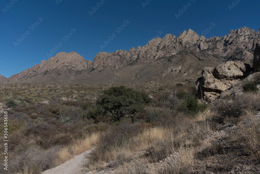 Organ mountains from the Fillmore trail.