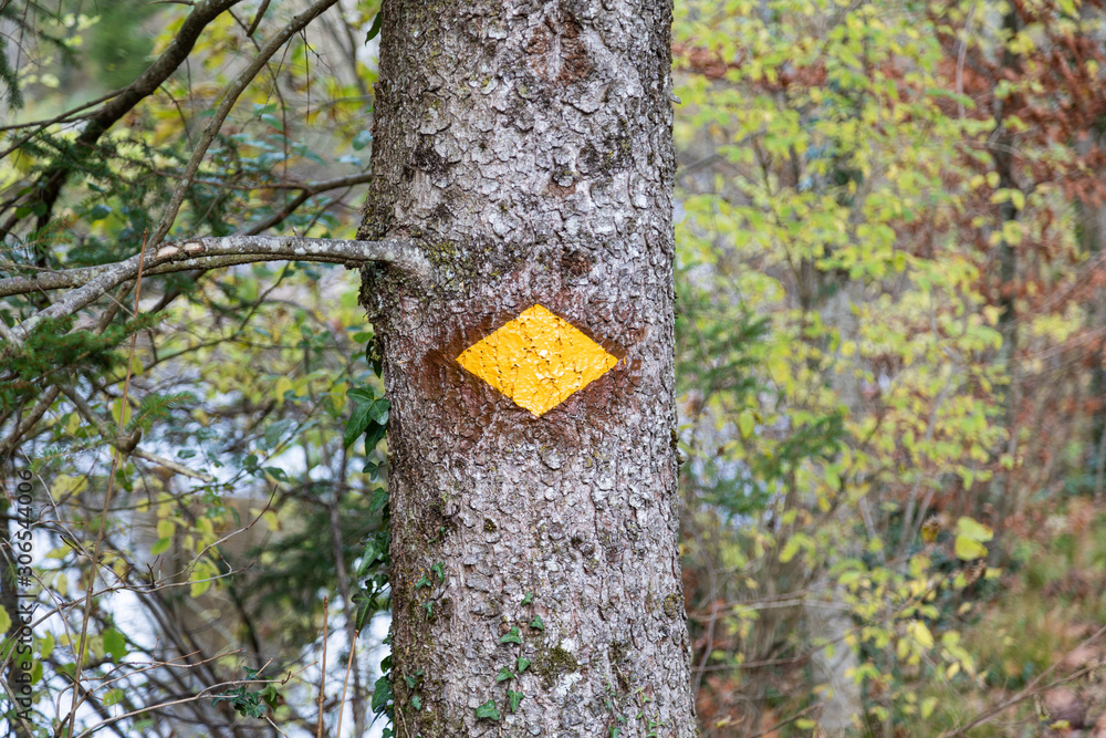 yellow hiking trail sign marked with spray paint on a tree in front of a green yellow leaf forest yellow hiking trail sign marked with spray paint on a tree in front of a green yellow leaf forest
