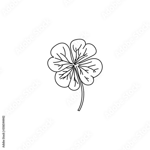Clover sketch. Hand drawn four leaf clover. Sketch style illustration  isolated on white.