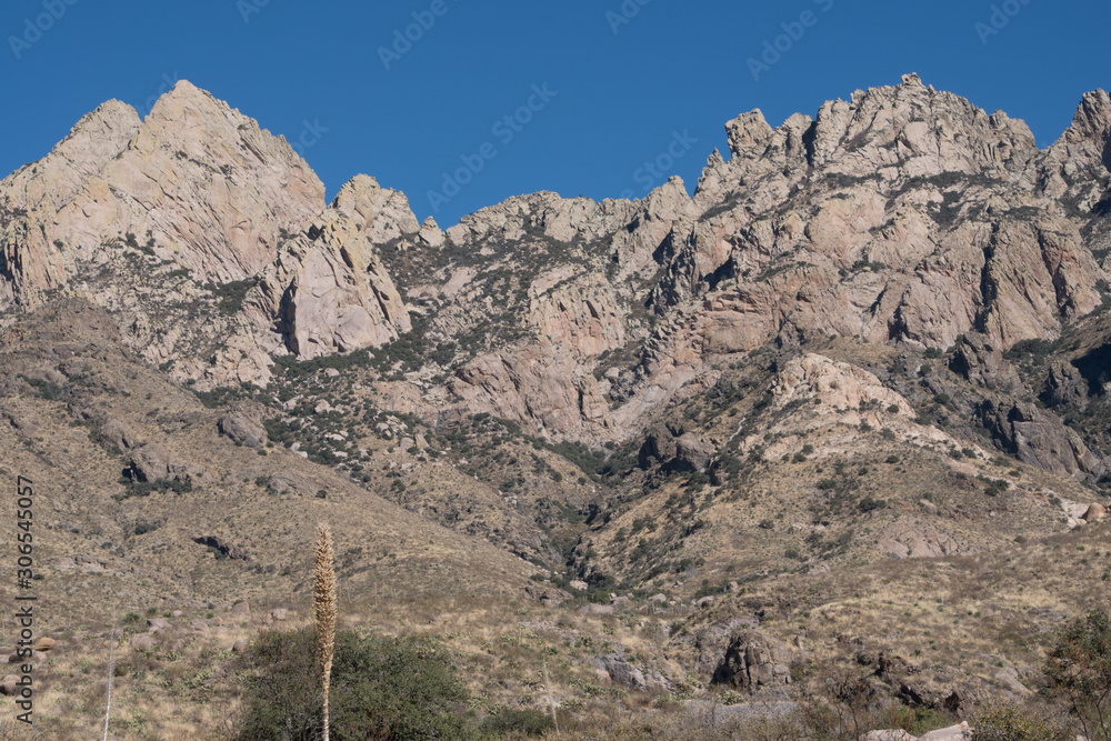 The jagged peaks of the Organ Mountains.