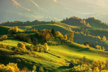 Leinwandbilder Honigfarbe mountainous countryside at sunset. landscape with grassy rural fields and trees on hills rolling in to the distance in evening light. distant ridge and valley in haze. fantastic scenery in springtime  © Pellinni