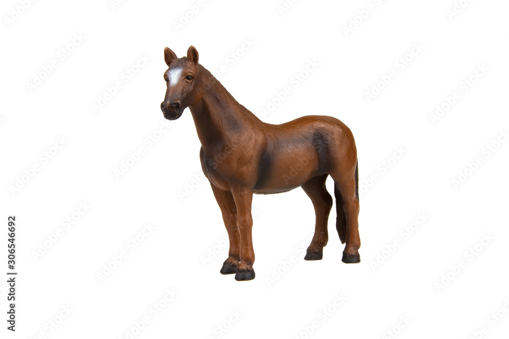 brown horse isolated on white background brown horse isolated on white background