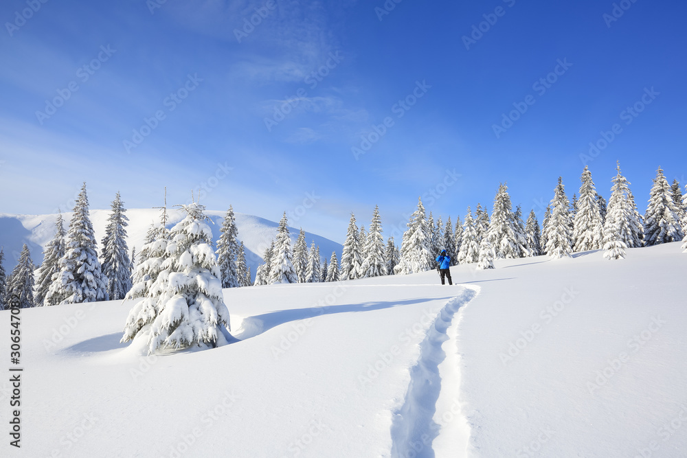 Majestic landscape in the cold winter morning. The wide trail. Christmas forest. Wallpaper background. Location place the Carpathian mountains, Ukraine, Europe.